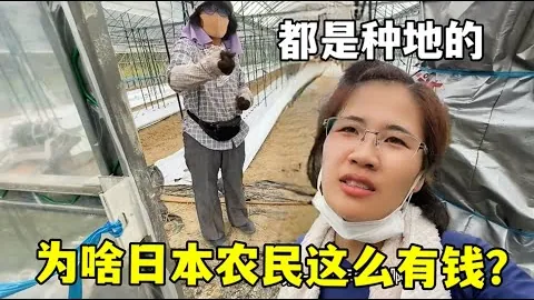 中国男篮亚洲杯预选赛对阵关岛，公布12人参赛名单——据人民日报客户端报道